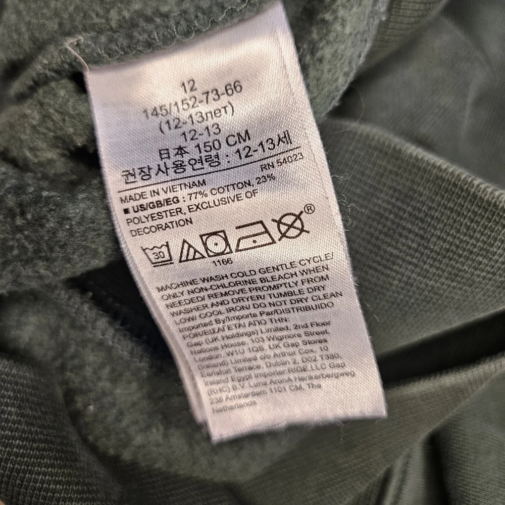 GAP Kids Green/Gray Hoodie